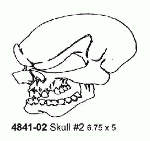 4841-02 Skull Stencil #2 6.75’’ x 5’’ (17cmX13cm) Airbrush Plastik Şablon